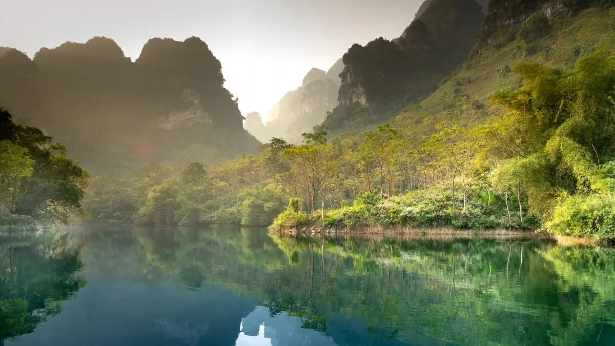 高精度绿色